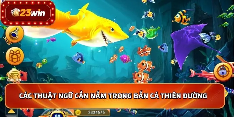 Bắn Cá Thiên Đường - Bí Quyết Săn Cá Đỉnh Cao 2026 3 Các thuật ngữ cần nắm trong Bắn Cá Thiên Đường